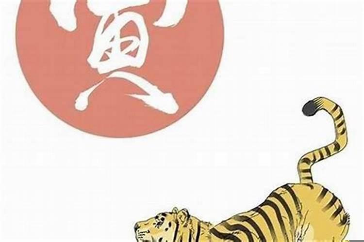 生肖龙和虎相配吗