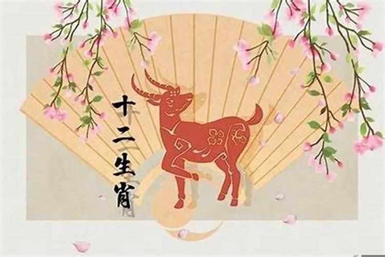 2021属羊的今年几周岁