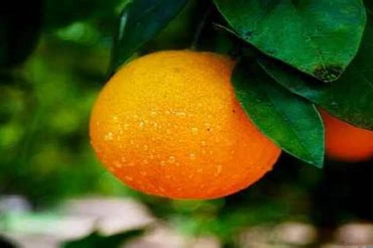 犯太岁怎么推算日子