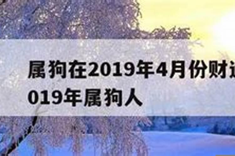 属狗人八月份财运