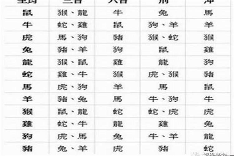 属马的男跟什么属相最配