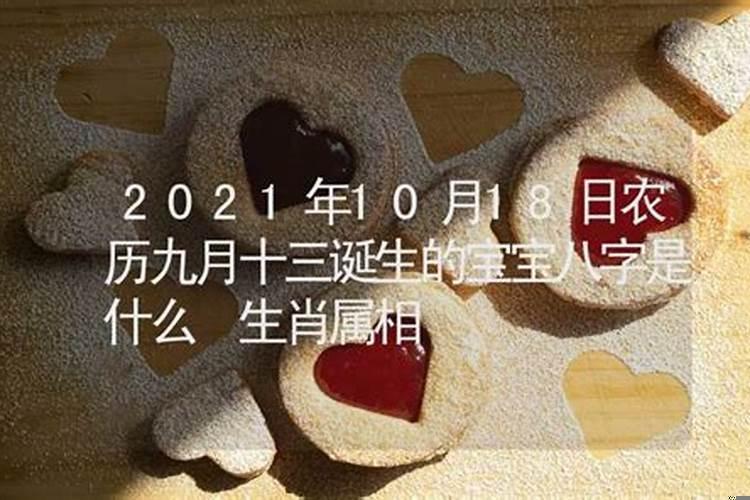 2025年农历9月份属什么