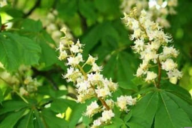 濡備綍鐪嬪叕澧撶殑椋庢按