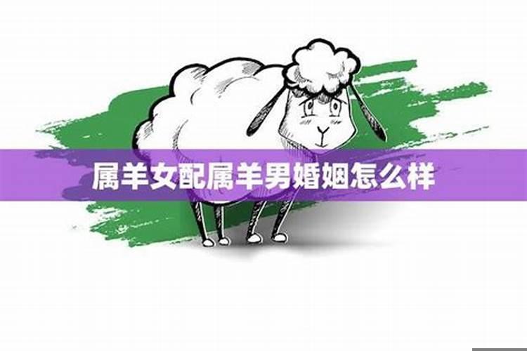 1984男鼠1991女羊婚配好吗