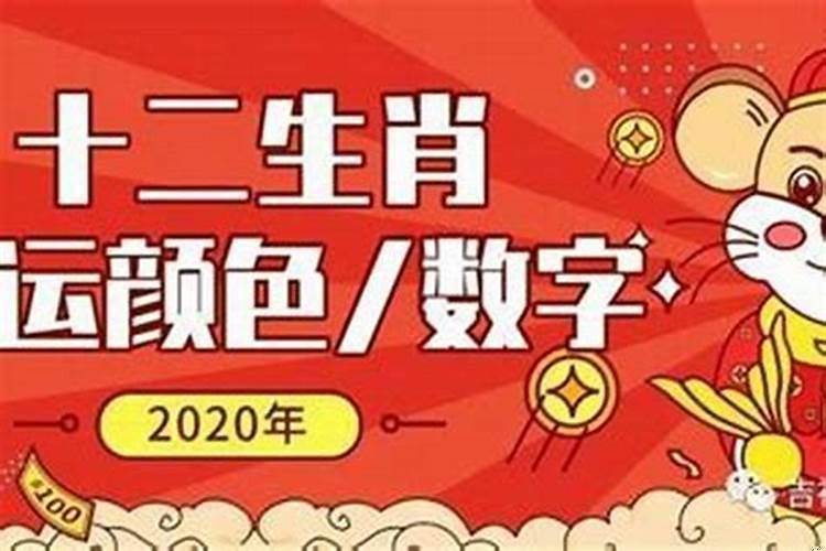 十二生肖最好财运数字