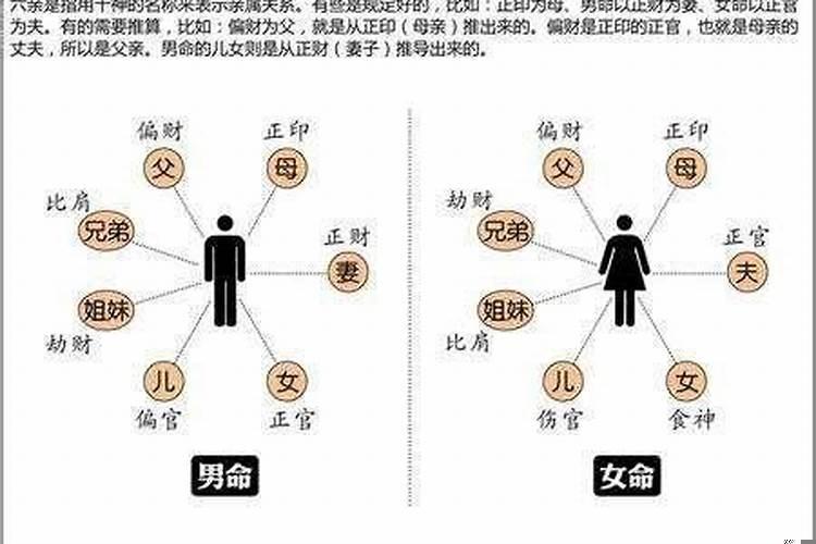六亲疏什么意思