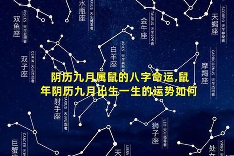 属鼠阳历九月运势