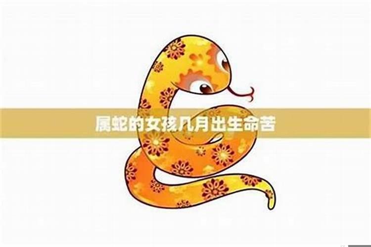 生肖蛇的女人一生