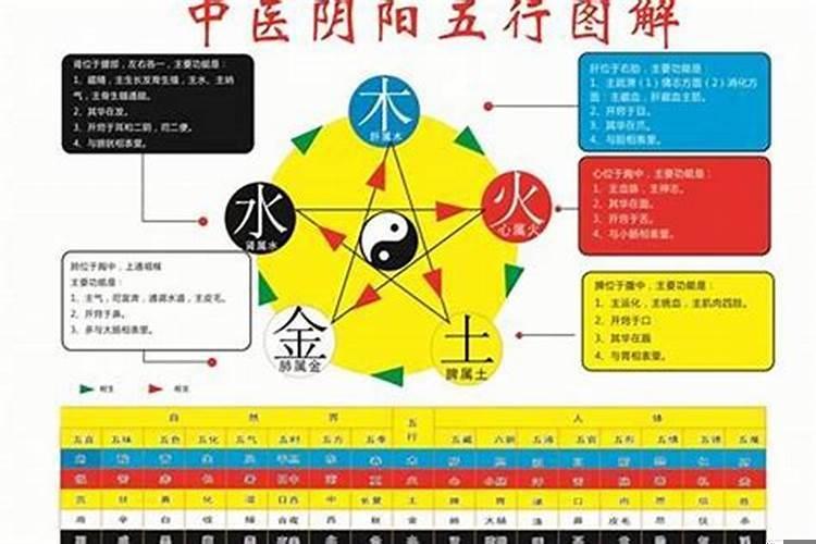 五行八卦入门基础