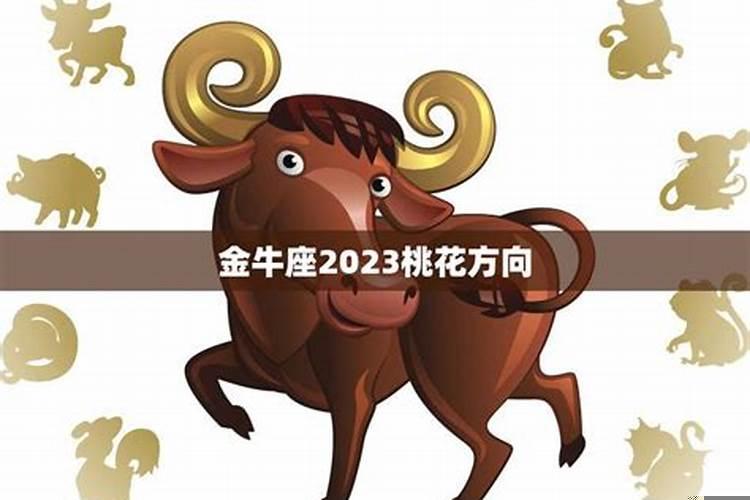 金牛座2025年爱情运