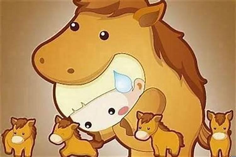 属马和属猪配吗?