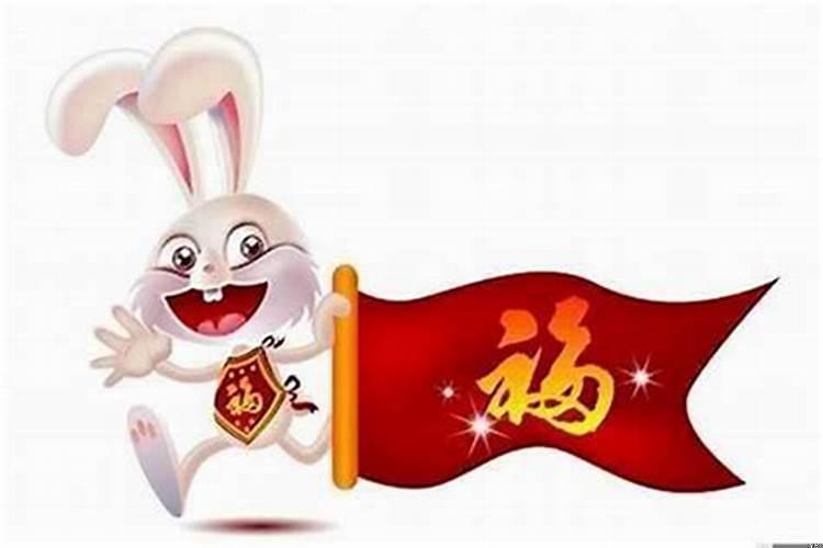 今年属兔的运气好吗
