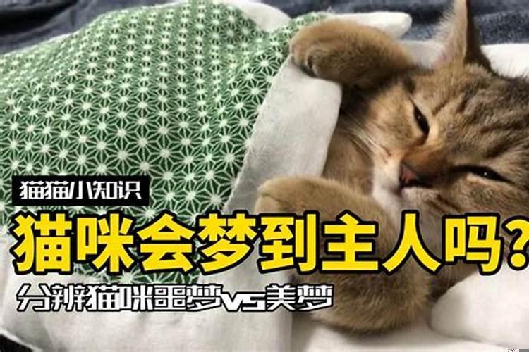 梦里啥意思