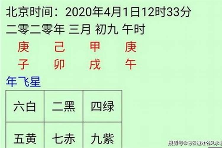 生肖运程2019今日运势