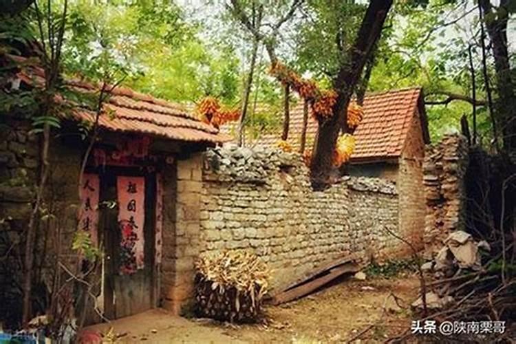 农村门口栽什么树镇宅旺财