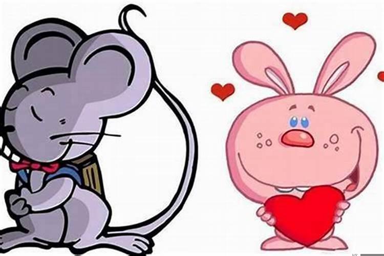 鼠跟兔婚姻配吗