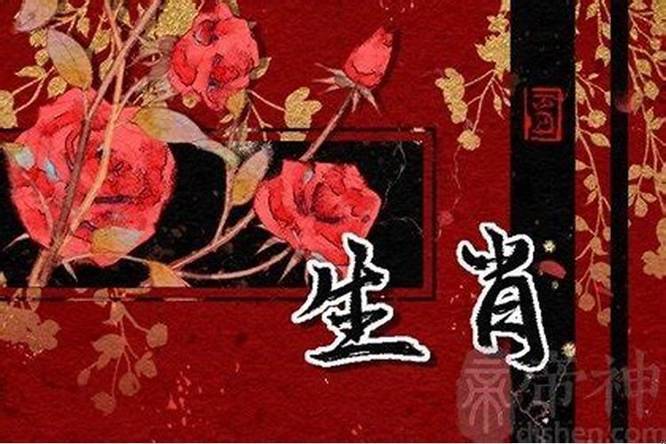 属马属兔相配吗