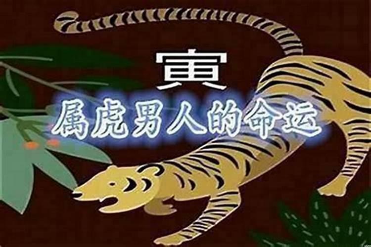 属虎的房子风水讲究