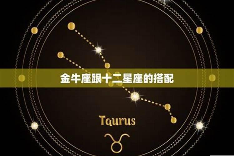 金牛座女金牛座男配对指数