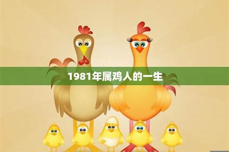 1981年属鸡人的命运