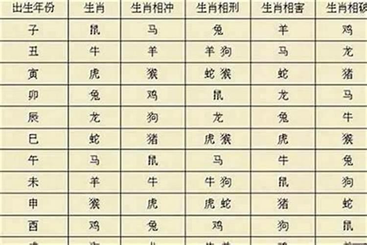 1999属兔与什么属相合