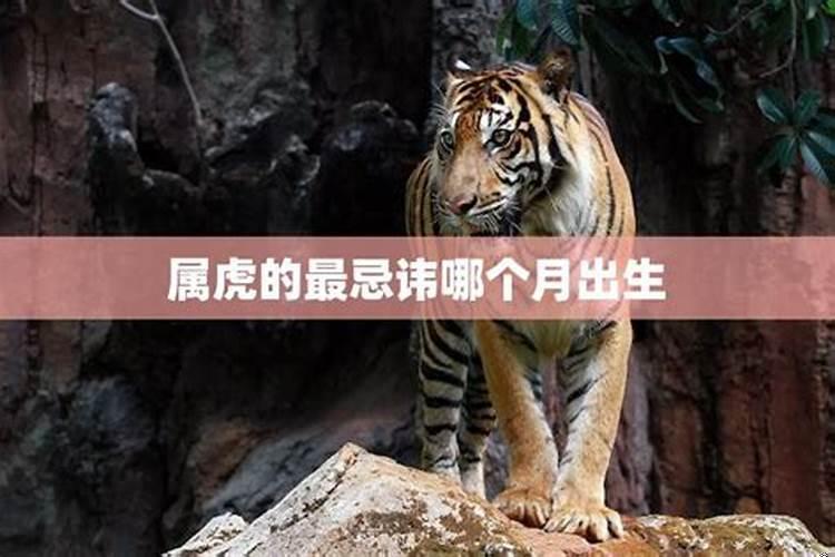 属虎的房子风水讲究