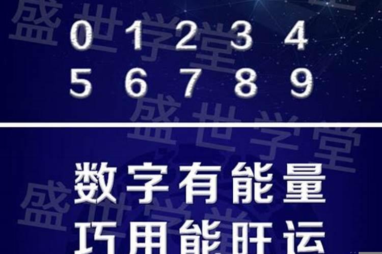 鎵嬫満灏惧彿浠€涔堟暟瀛楄兘閲忔瘮杈冨ソ