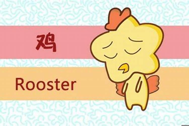 子时出生的属鸡人一生平庸