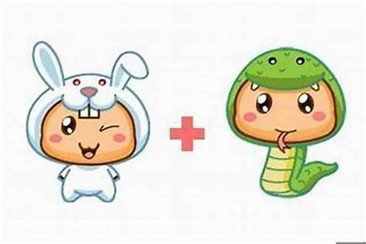 属兔的嫁给属蛇的好不好