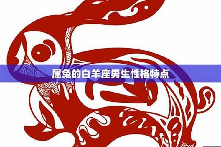 属兔的天秤男性格特点
