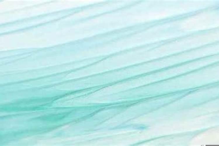 82年属狗的一生