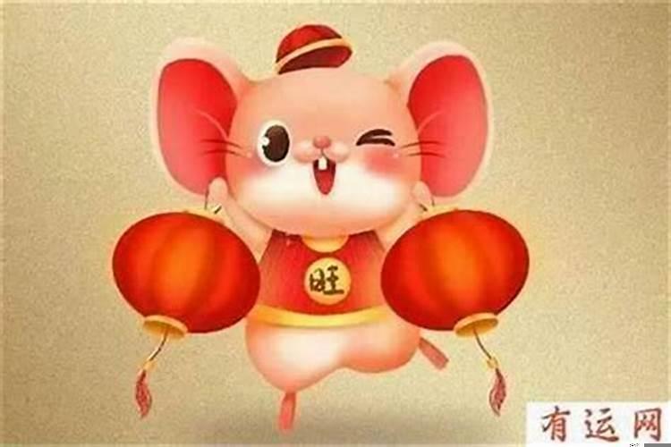 属鼠的人2020年财运怎么样下半年