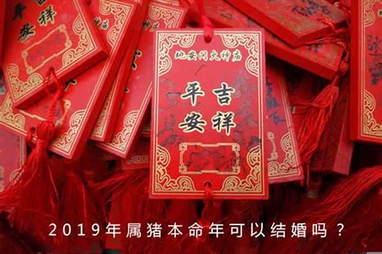 属猪本命年结婚会离婚吗