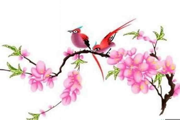 桃花运旺盛的四大星座
