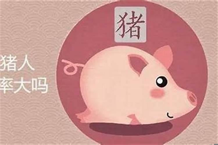 生肖猪2022年女桃花运势