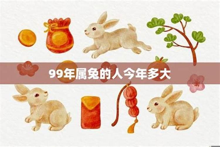 兔年是哪几年今年多大