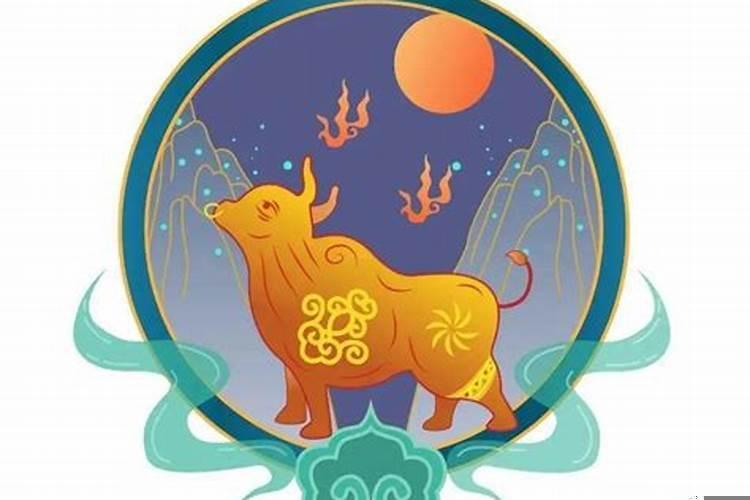 属狗在牛年的运程