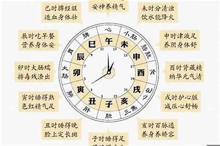 如何算生肖属相