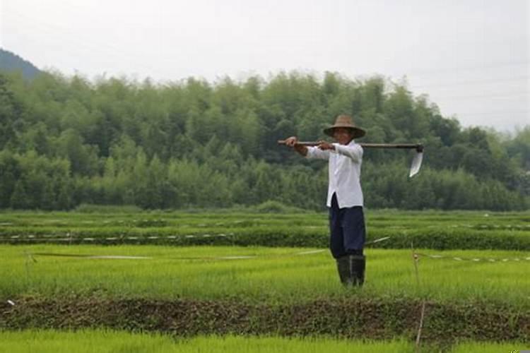 是否监狱企业是什么意思
