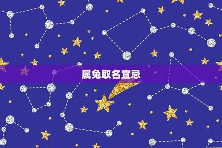 属兔名字里忌讳什么