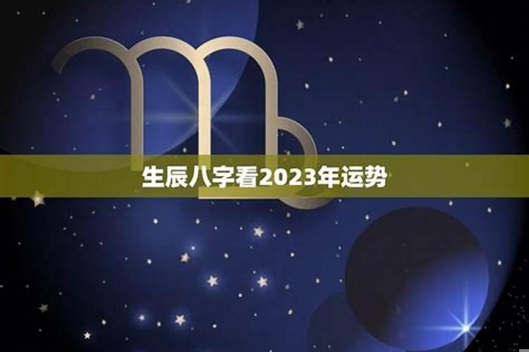八字看2025年运势