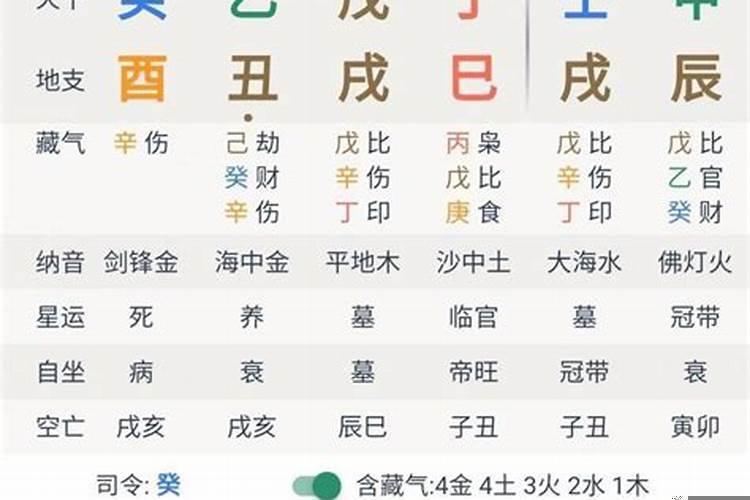 己巳年己巳月丁亥日丁未时