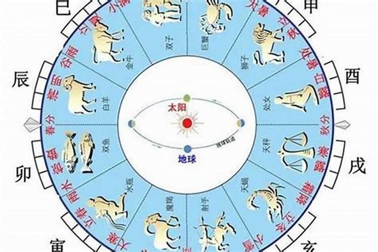 每天的天干地支怎么查
