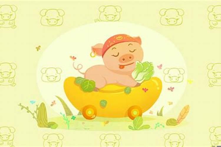 属猪的人财运方位在哪个方向好