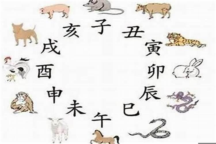 属羊犯冲的属相是什么