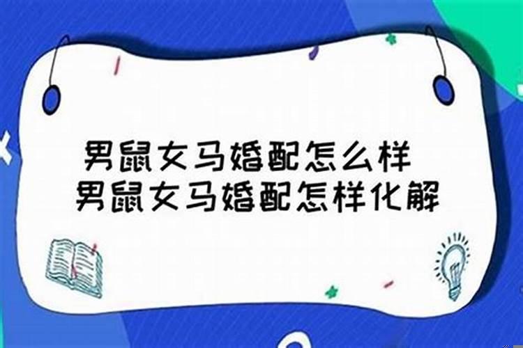 96年的男鼠和90年的女马配不配