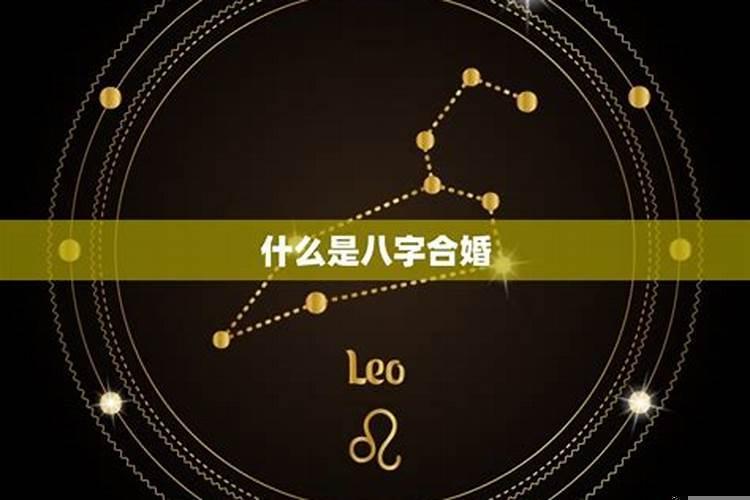 两人配不配八字看什么