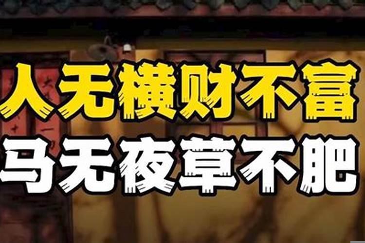 什么叫人无横财不富马无夜草不肥