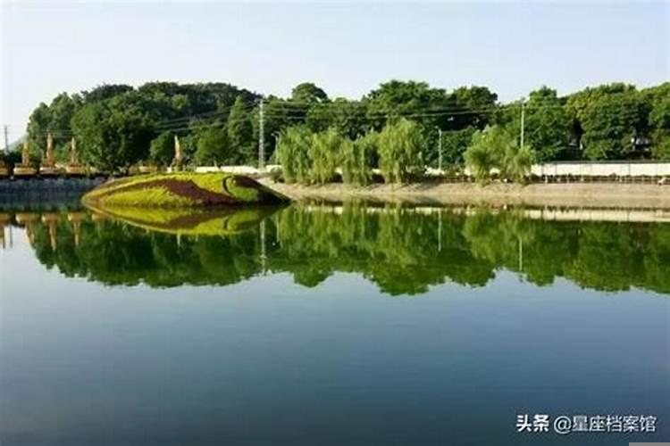 天蝎男对狮子女很绝情