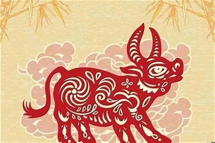 2025年属牛能结婚吗